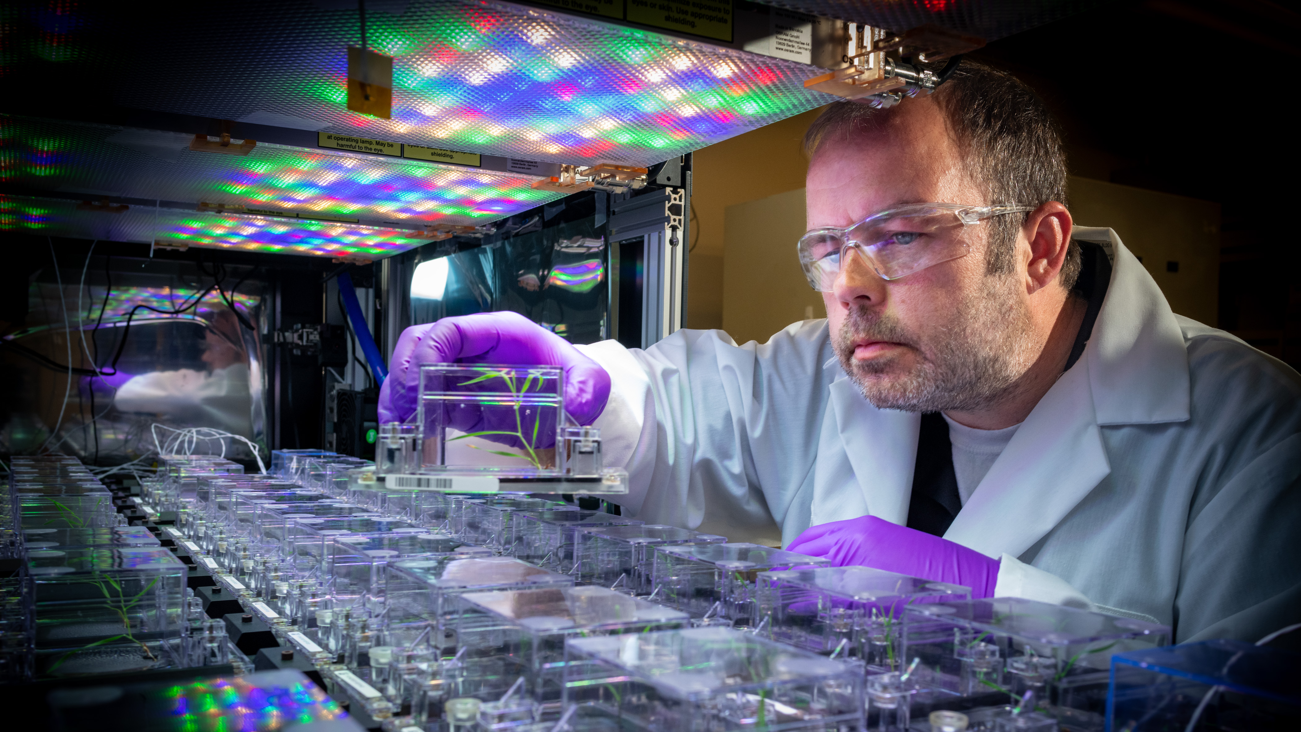 An individual with a lab coat, safety goggles and gloves holds a small plastic chamber