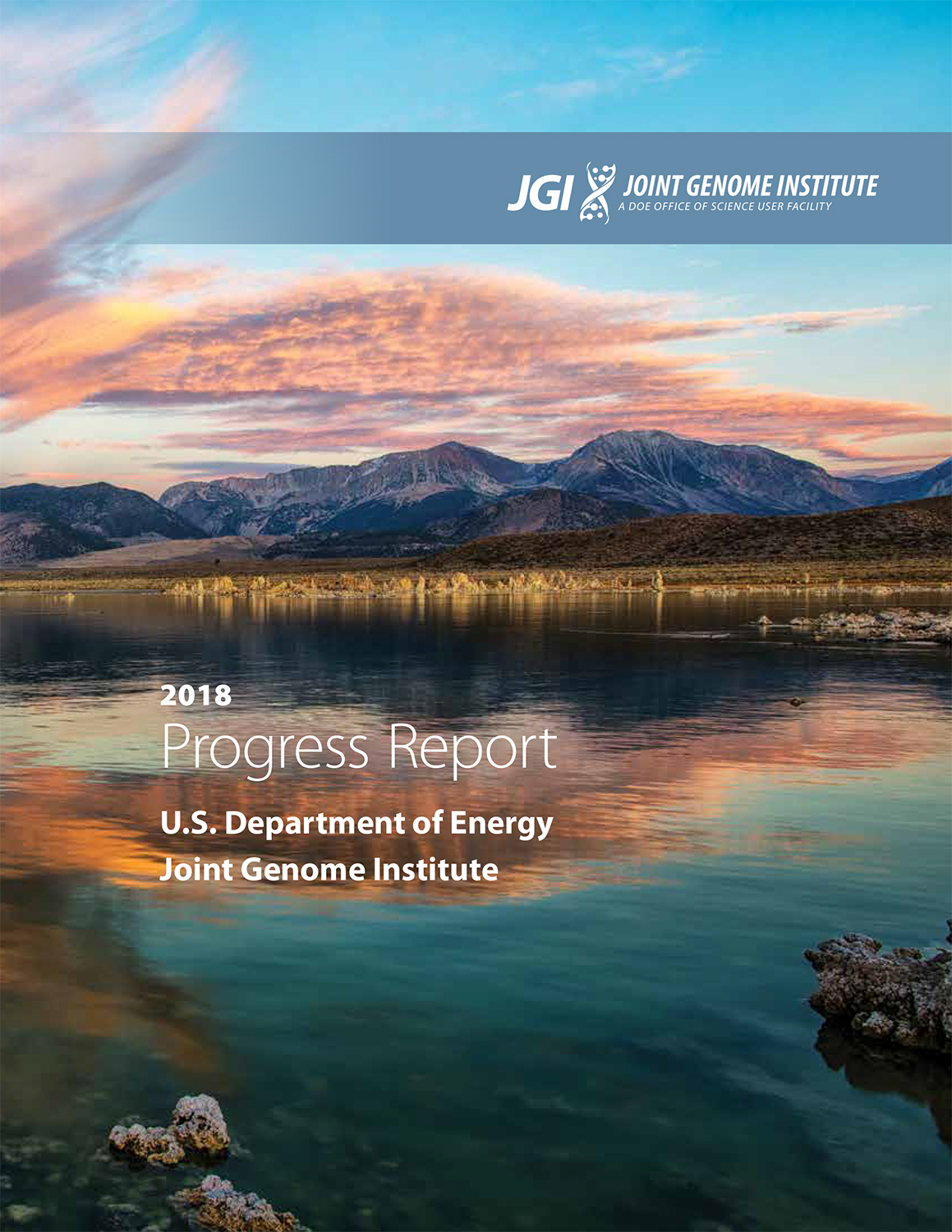 Progress Report cover features a mountain landscape at sunset and the JGI helix logo