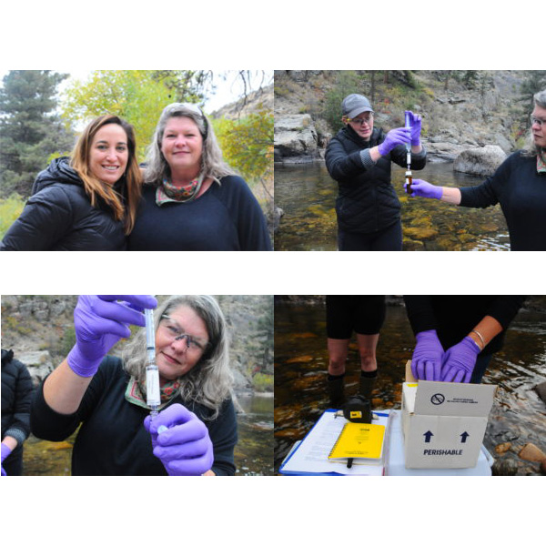 A photo collage showing female scientists sampling at a river in proper PPE.