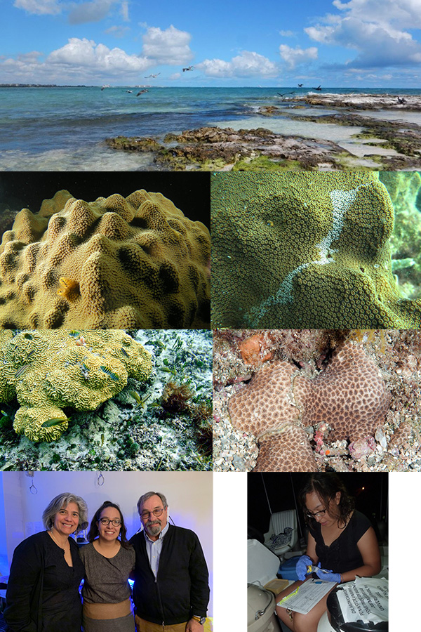 A photo collage of a tropical sample site, corals, and researchers who worked on this study. 