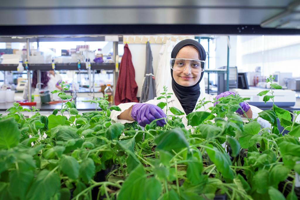 A researcher stands in front of an array of green plants in a lab. 