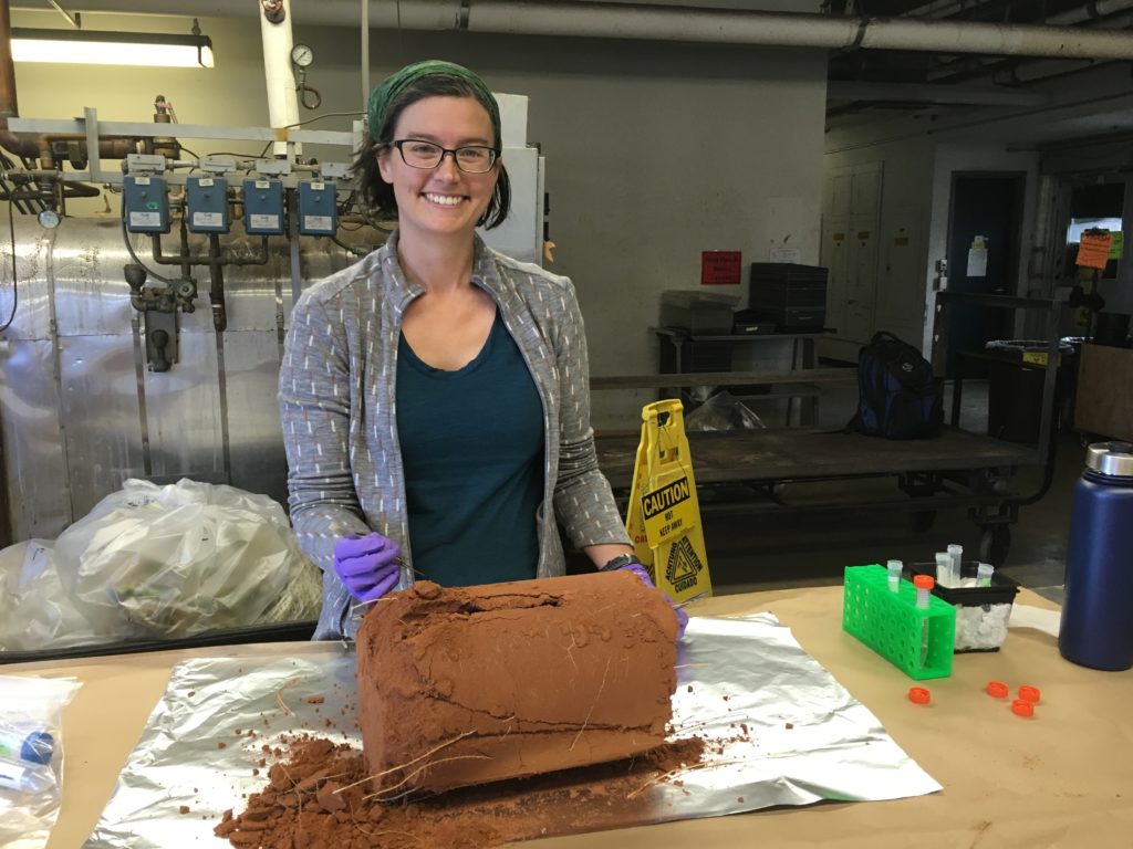 A researcher is ready to sample a soil core. 