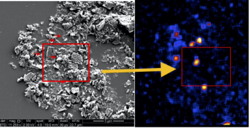 A microscopy image in gray on the left and in blue and orange on the right. 