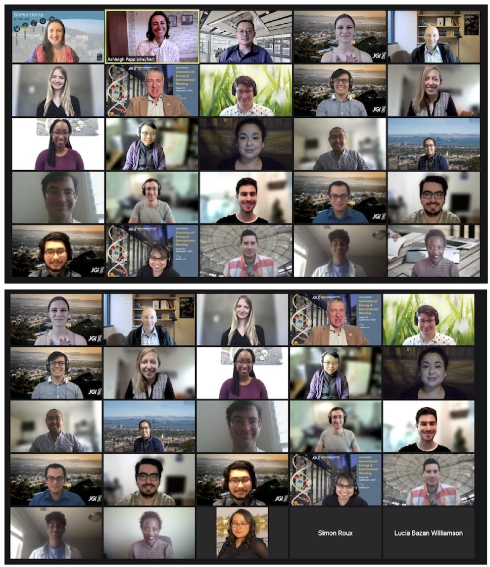 Tiles of people on a zoom meeting of interns and mentors.