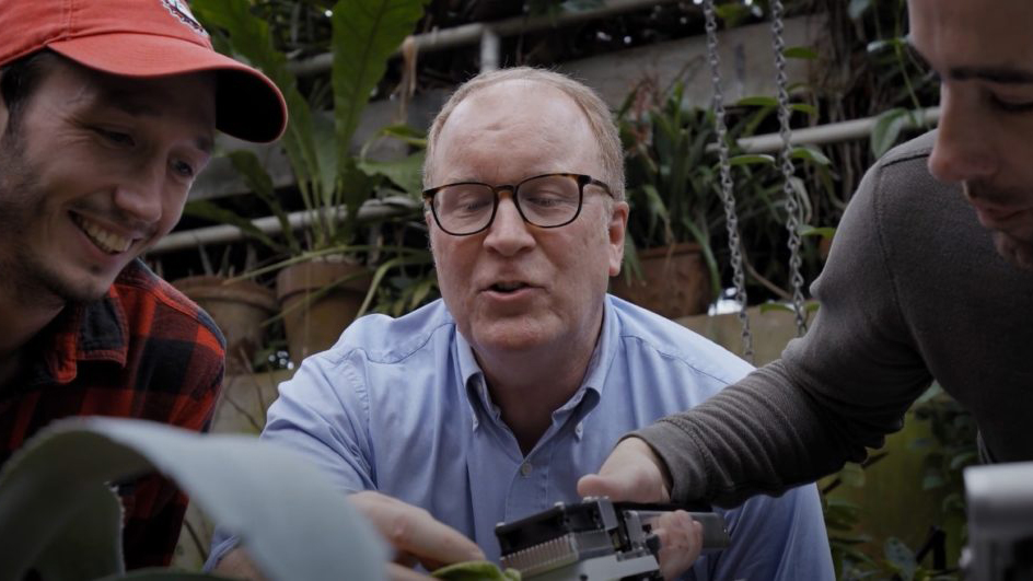 Three researchers use an instrument to measure a plant excitedly.