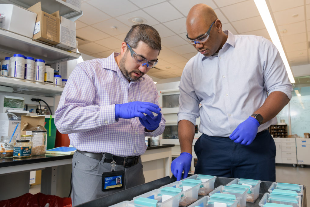 Two researchers in ppe peer down at a cart full of containers of mealworms.