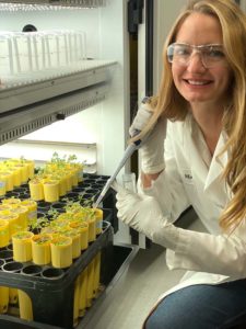 a scientist holds a pipette next to small yellow tubes of growing plants. 