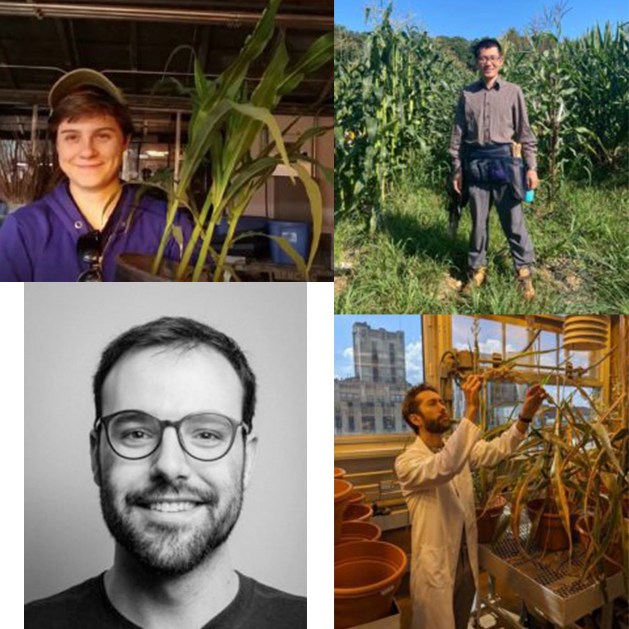 A 4x4 grid of scientists headshots with their respective plant species.