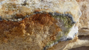 A rock with layers of different color within it: rust, beige, green, white and black.