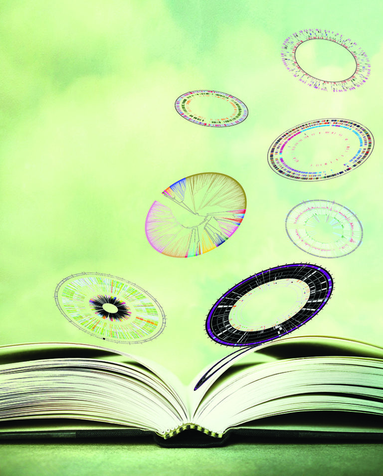 circles falling out of a book