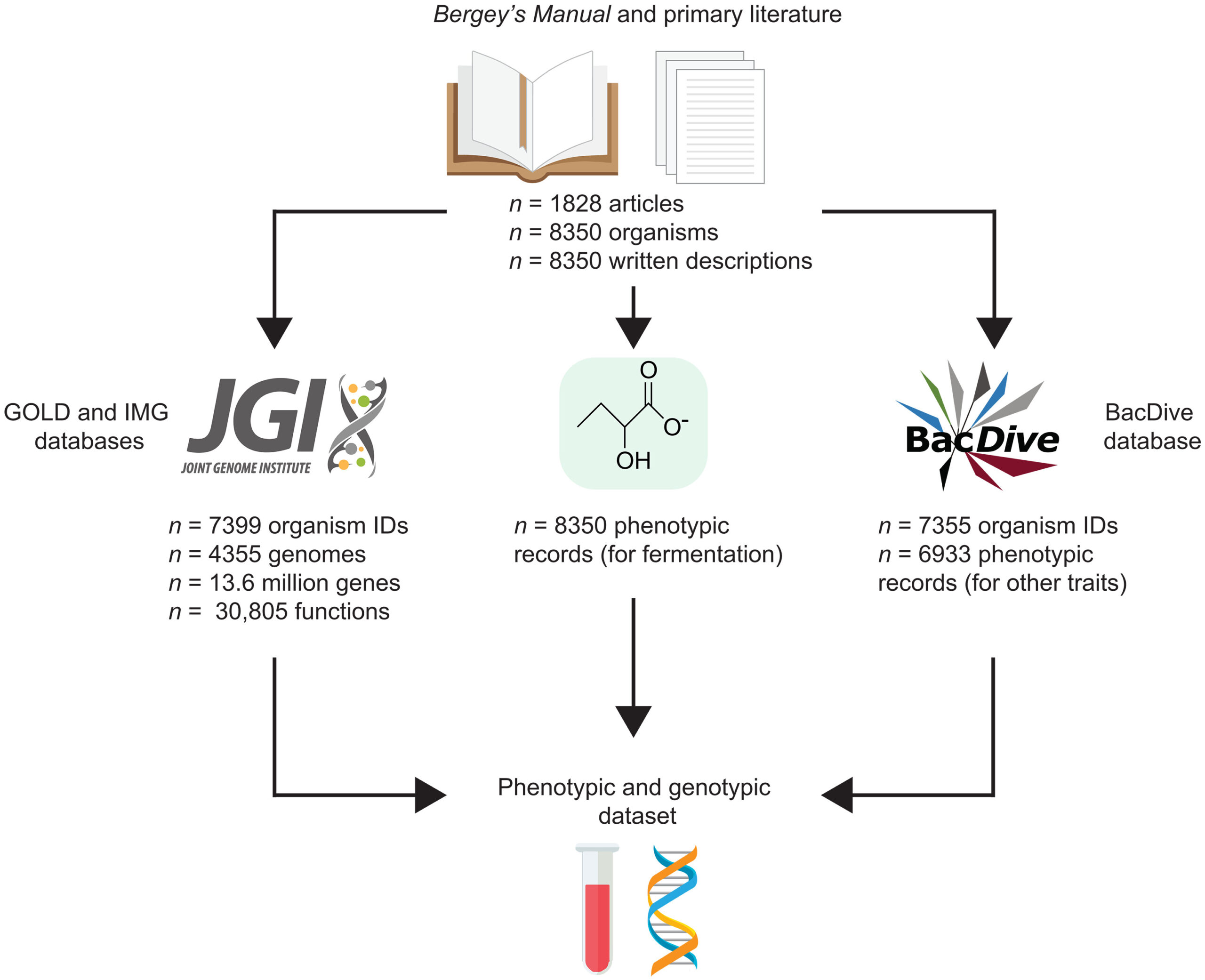 Figure shows the sources harnessed to assemble a dataset to assemble fermentative prokaryotes.