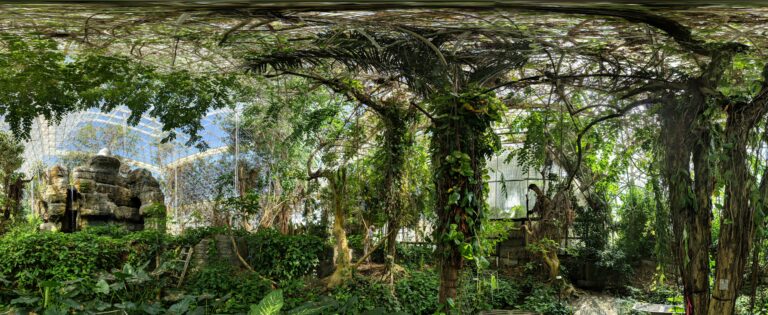 A wide-screen photo of a lush indoor rainforest from floor to canopy.