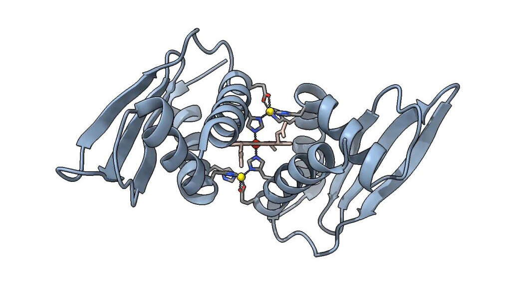 An illustrated protein structure of doman related to iron, shown in helices and arrows.