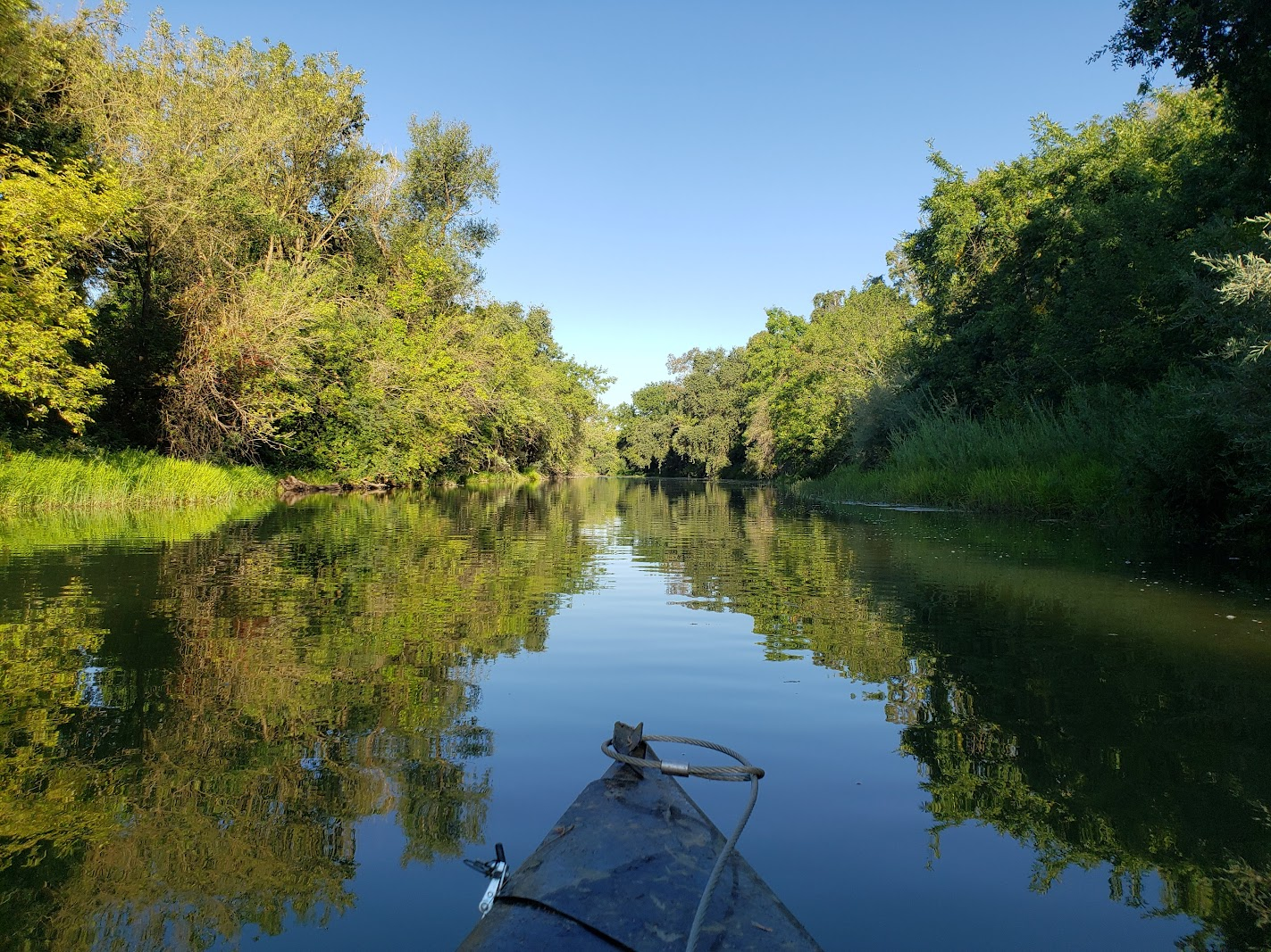 A view from the front of a kayak on a calm, reflective river surrounded by dense green foliage and trees under a clear blue sky.