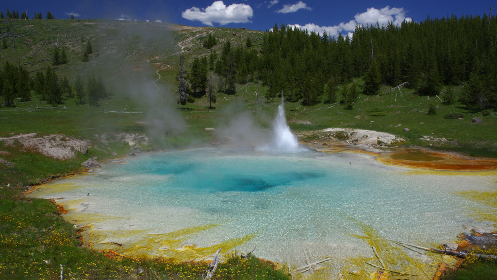 A landscape image shows a geyser surrounded by a forest. The hot spring itself is rust-colored at the edges tho is mostly white, with an aqua marine section in the center and a geyser rising from it. 