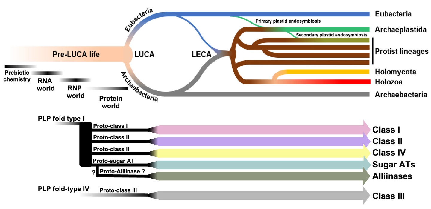 A multicolored flow chart.