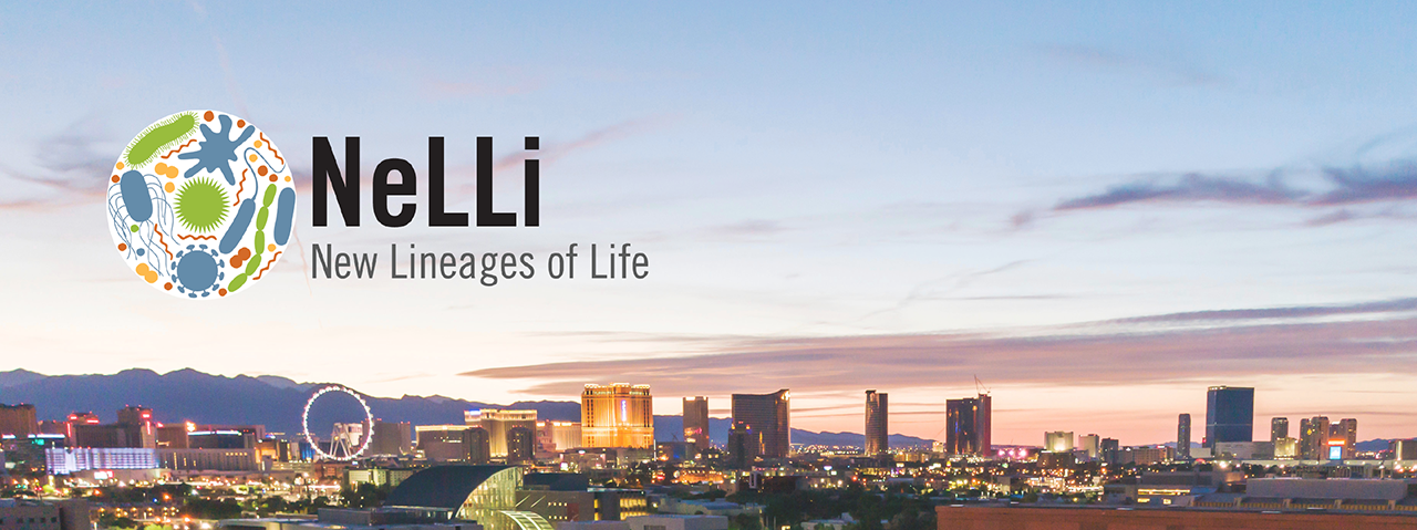 logo for NeLLi Symposium