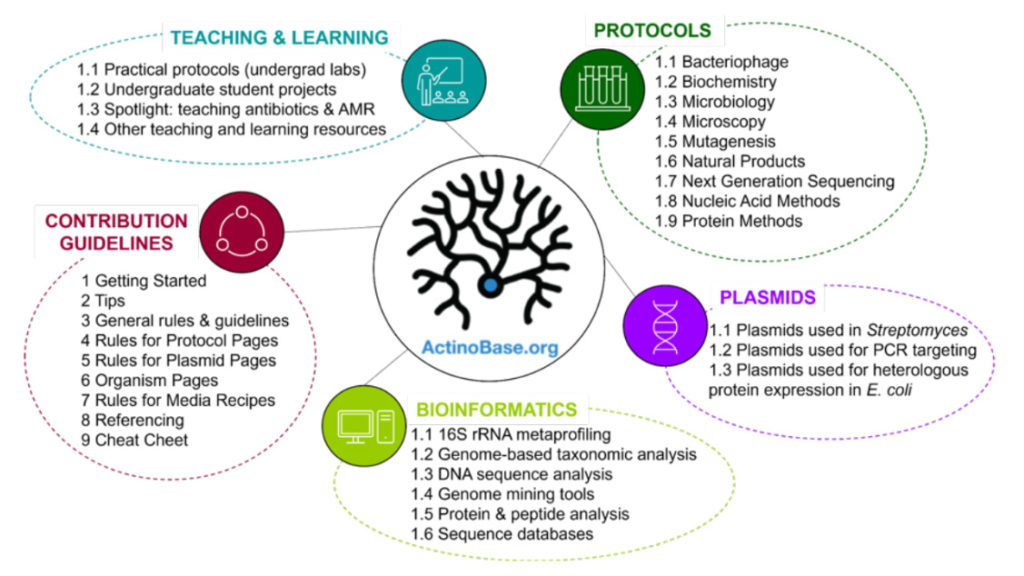 Structure of the ActinoBase Wiki (as of September 2021)