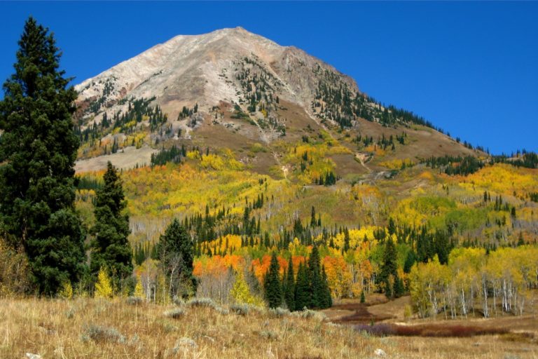 A mountaintop emerges from a forest landscape against a blue cloudless sky