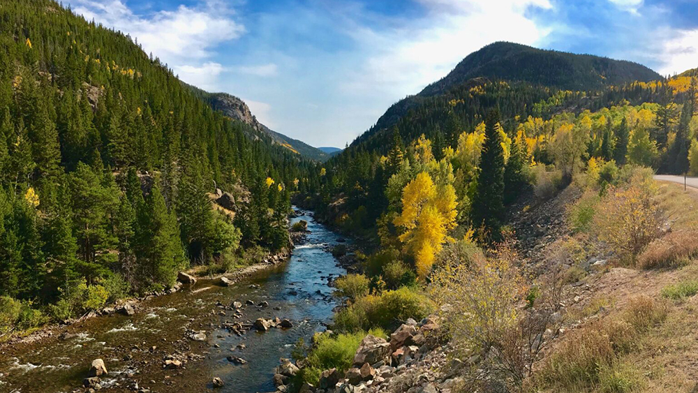 Part of the Cache la Poudre river of Colorado, bordered by mountains in forested area with autumn foliage.