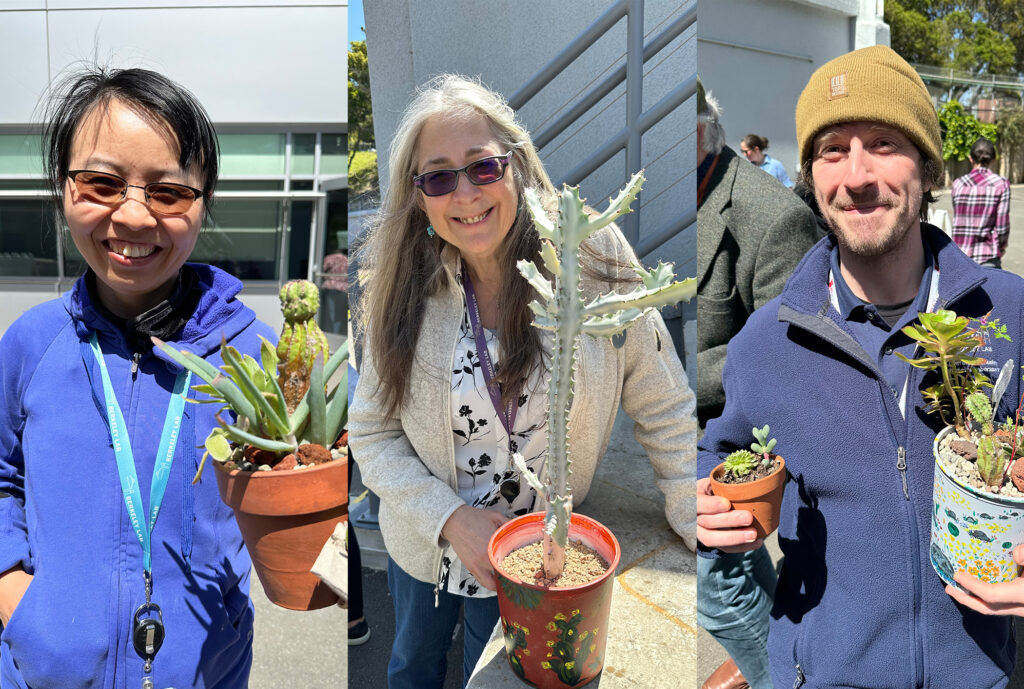 three people holding plants
