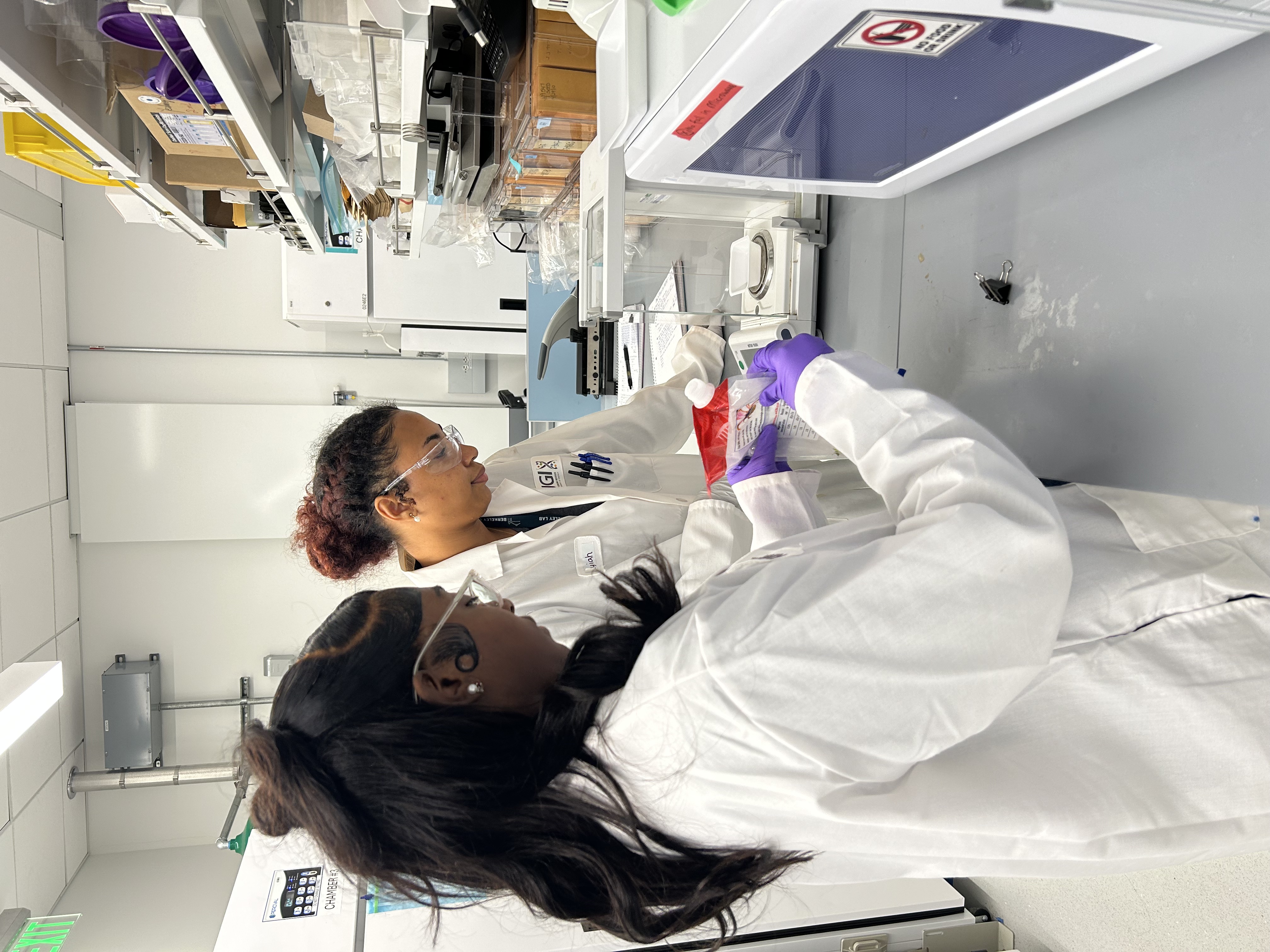 two people working in a lab