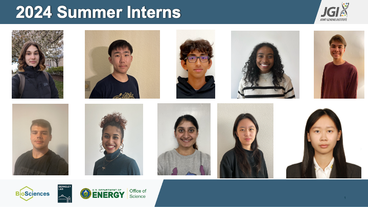 2024 Summer Interns