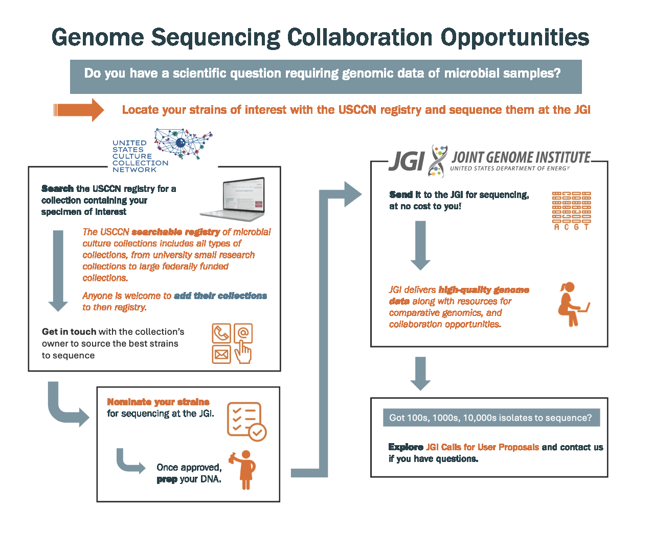 A graphic outlining how to locate strains of interest with the USCNN registry for sequencing at the JGI