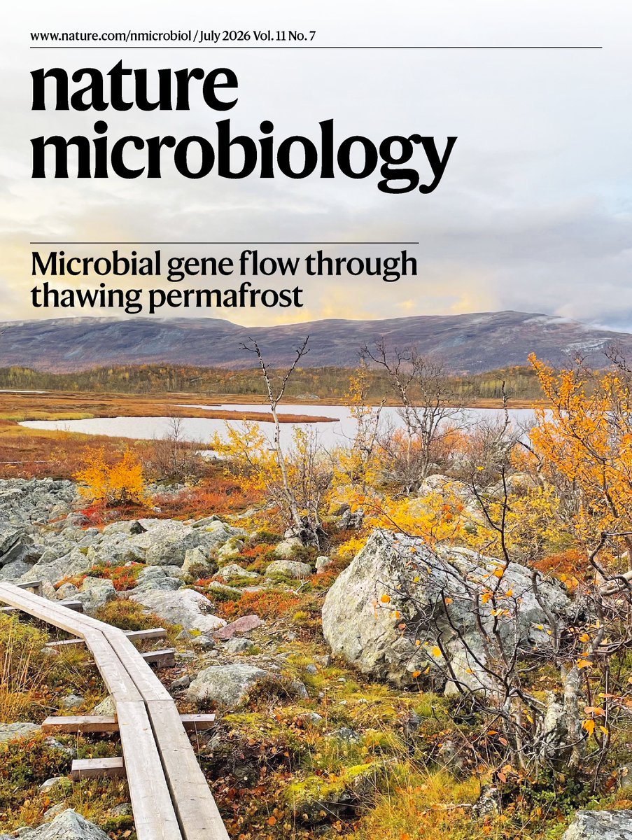 The cover of nature microbiology showing a tundra-like landscape of Stordalen Mire