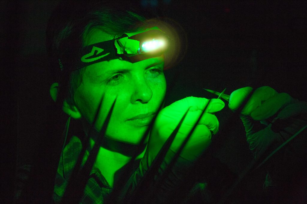 person with a headlamp on at night