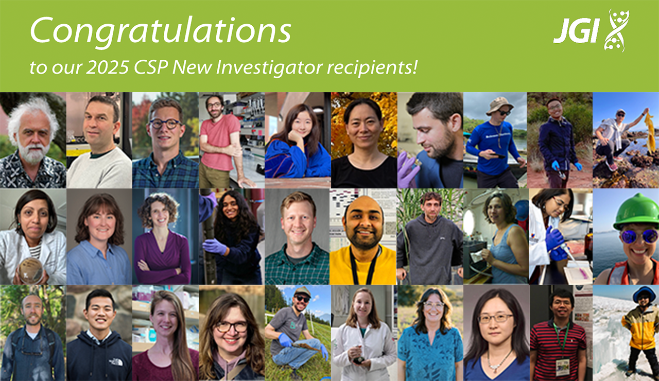 A collage of 30 portraits under a green banner congratulating 2025 CSP New Investigator recipients. Transcribed Text: Congratulations to our 2025 CSP New Investigator recipients!