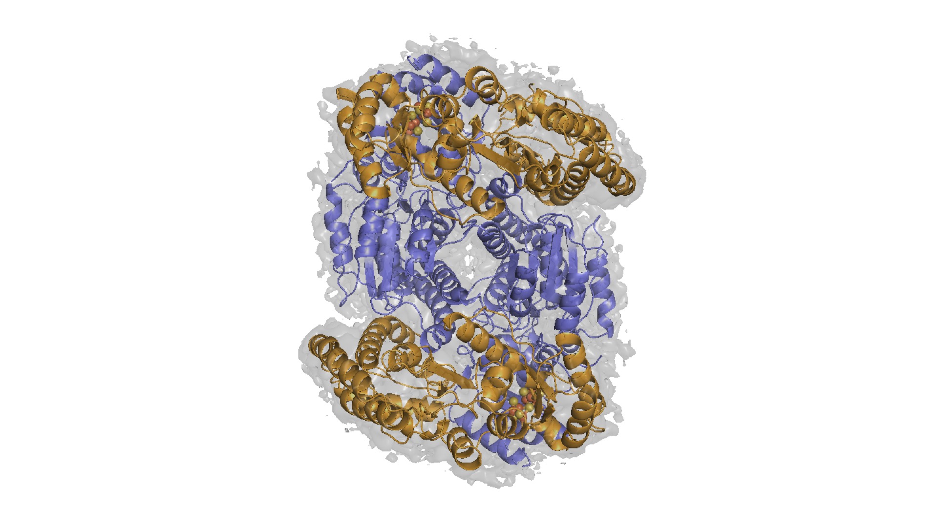 An enzyme structure shown in gold and lavender spirals.
