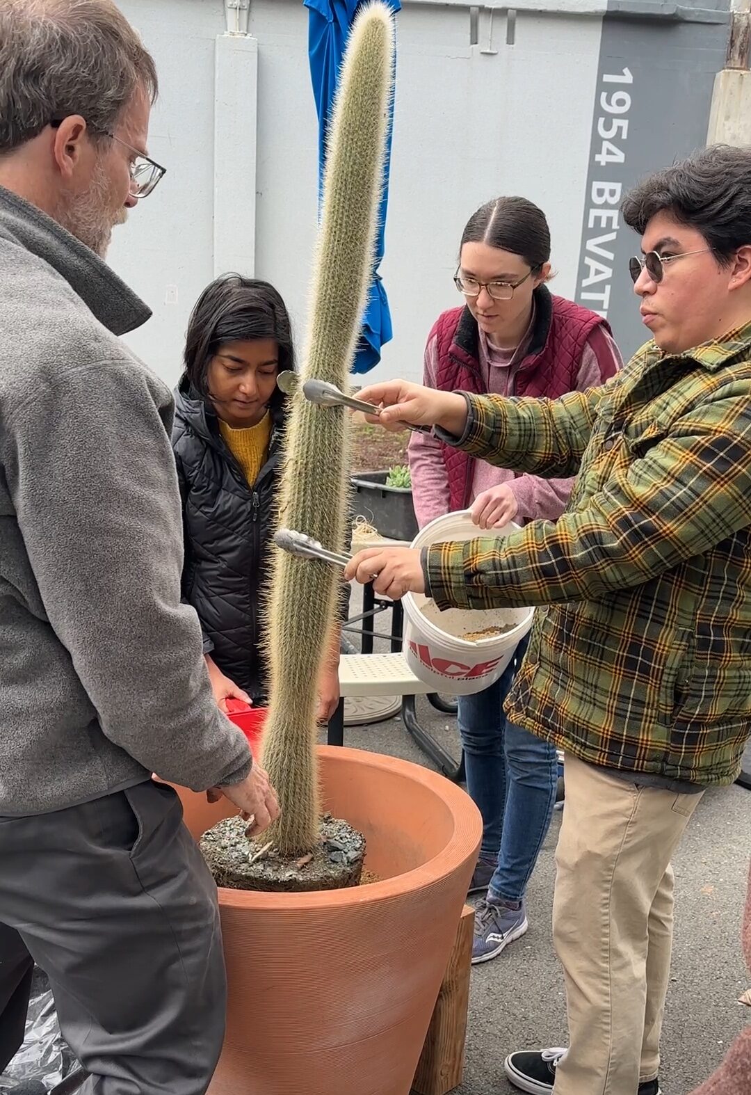 a group of people standing around a giant cactus while holding tongs