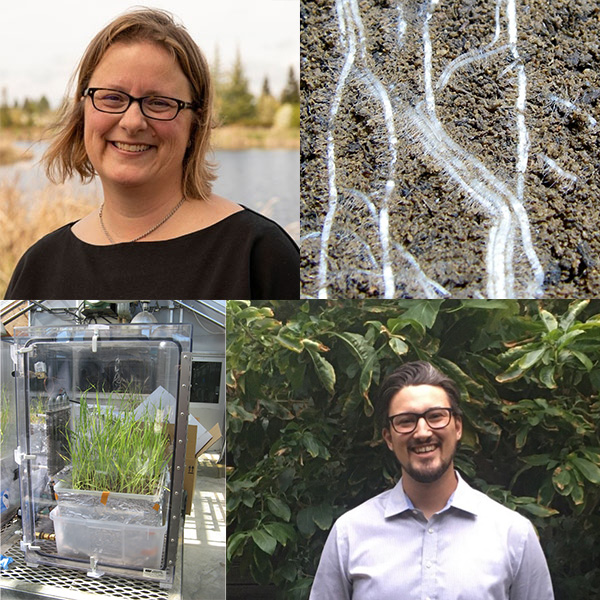 A photo collage showing two researchers' headshots, a close up of plants growing in a controlled chamber and roots streaking through soil. 