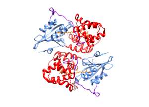 orange carotenoid protein