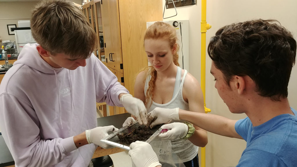 students sifting through soil