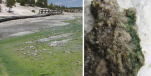 two images in one paragraph, on the left is a lake and the right is a rock