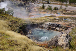 a picture of a hot spring in yellowstone national park