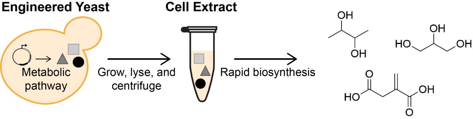 a chemical formula