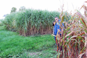 Two people standing behind grass