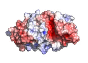 a blue red and white colored lump