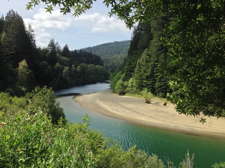 a river with foliage on each side