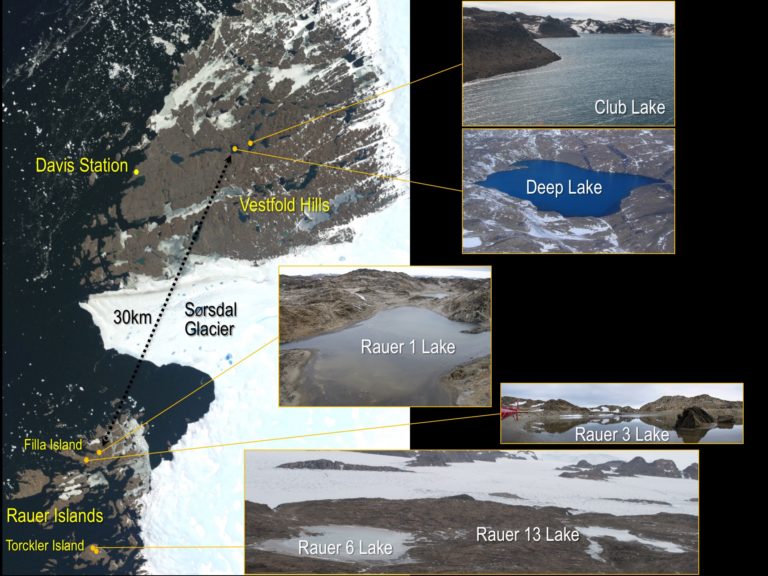 different images put together in a collage representing areas of antartic lakes sampled for study