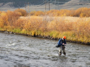 a person standing in a river