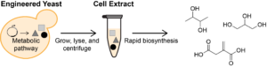 a scientific graph