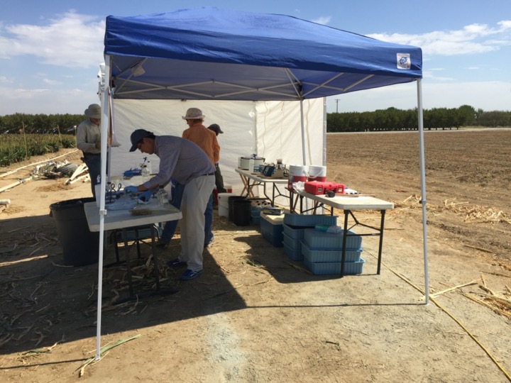 field lab with people doing tasks