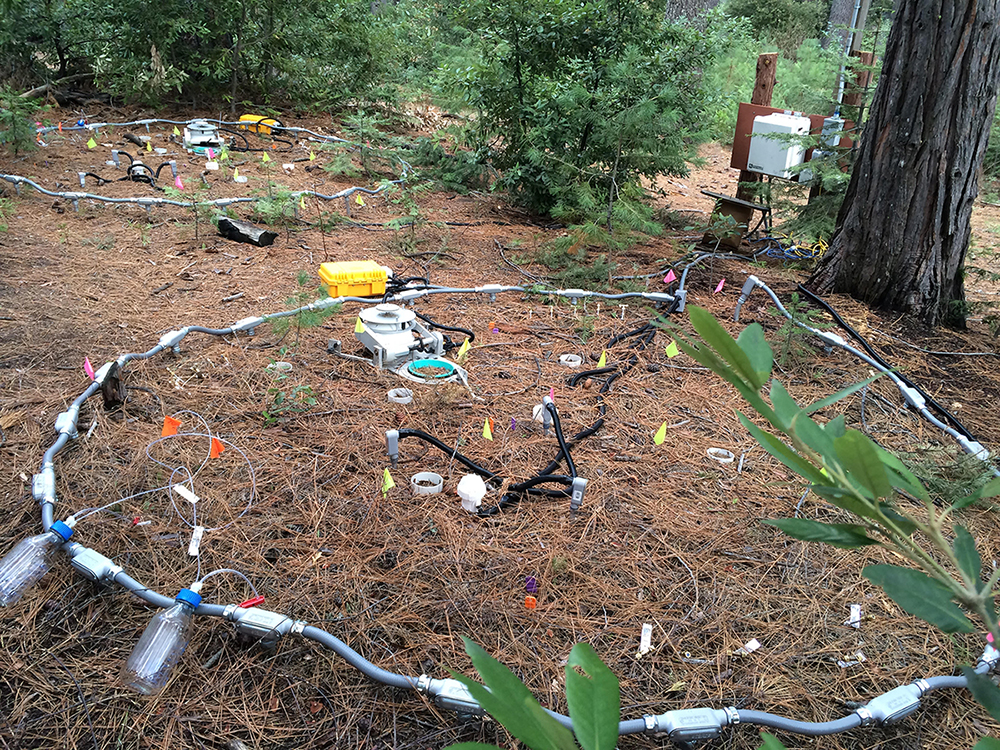 a science experiment with wires and cables in a forest