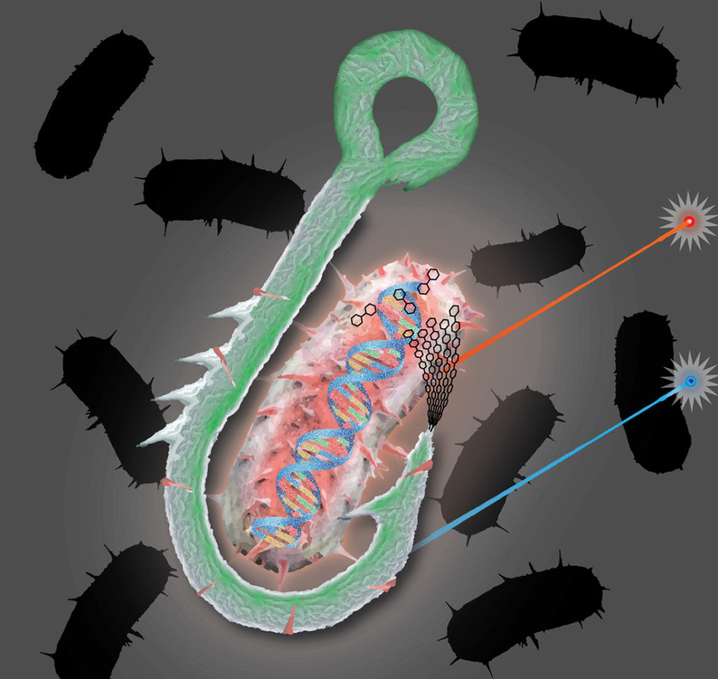 graphical representation of a cellulose hook