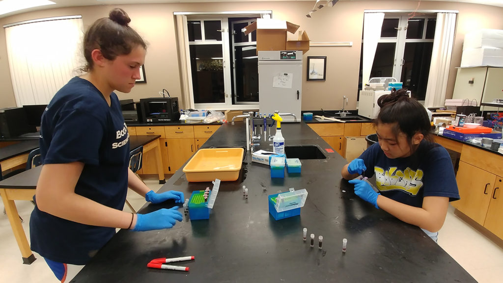 students sifting through samples