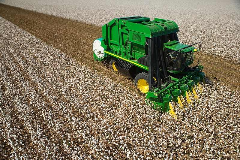 a field of cotton with a truck driving through it